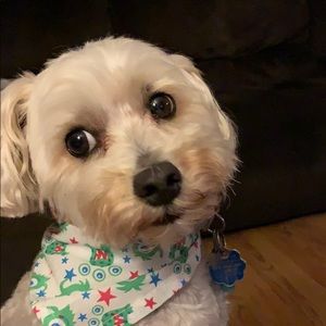 Meet your Posher, Shana